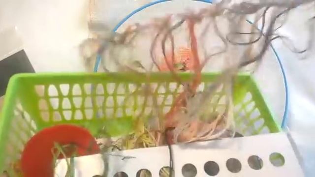 ИТОГИ осени - ПРОЦЕССЫ ноября - ПЛАНЫ на декабрь смотреть онлайн