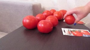 Дегустация томатов Джемпакт и Женарос.07.09.2019