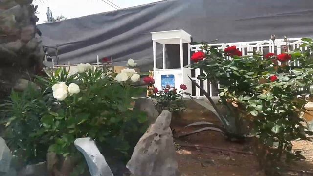 Star beach vilage&water park Neri Alius смотреть онлайн