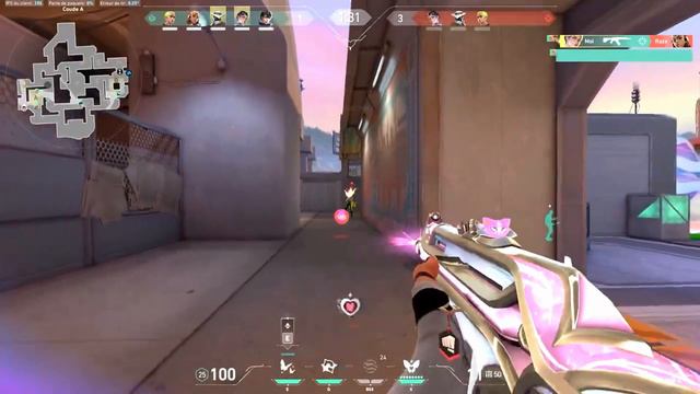 Valorant Evori Vandal