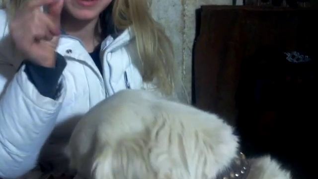 поцелуй с собакой смотреть онлайн