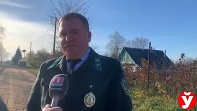 Куда отправились дрова с чемпионата по колке дров? смотреть онлайн