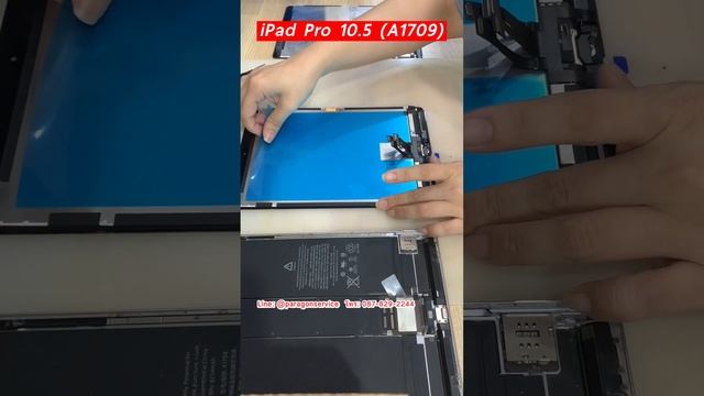 iPad Pro 10.5 (A1709) ทัชร้าว⁉️จอไม่แตก?แต่จอมืด #ซ่อมไอแพด #เปลี่ยนจอ #เปลี่ยนแบต #ParagonService смотреть онлайн