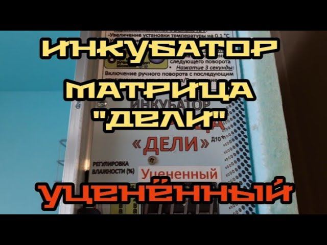 уценённый инкубатор матрица "дели" от производителя... что нам прислали. смотреть онлайн