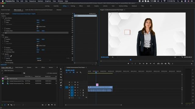 How to Create a Watermark in Adobe Premiere Pro | How to Protect Your Video смотреть онлайн