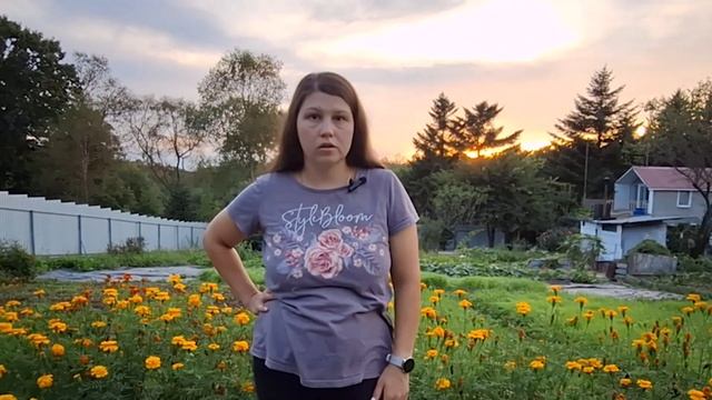 Почему не цветут нарциссы 5 причин.