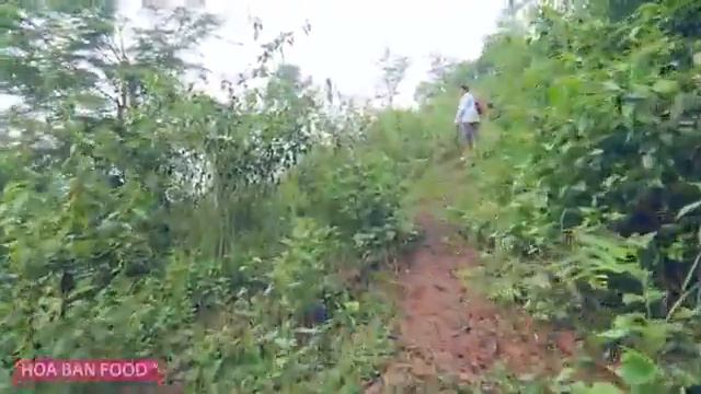 Пищевая искусство пищевые приключения Традиционная пища натуральные пищевые продукты удивительные б