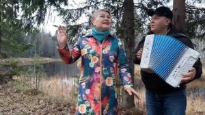 НАРОДНАЯ ПЕСНЯ ПОД ГАРМОНЬ!!!