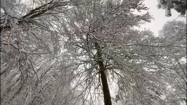 Стих: жизнь не сказка смотреть онлайн