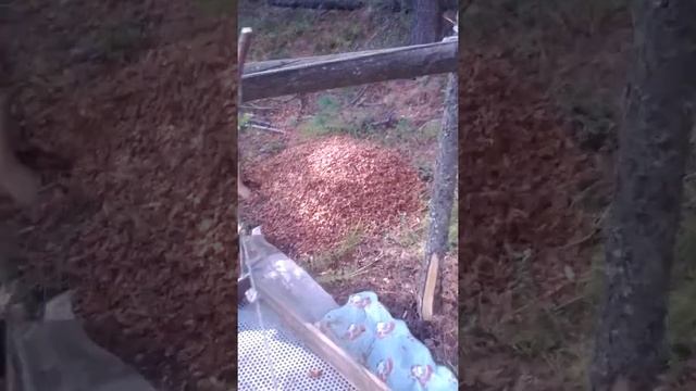 Добыча шишки смотреть онлайн