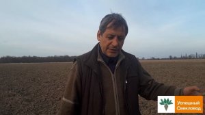 Сеять или «еще рано», сроки посева сахарной свеклы.