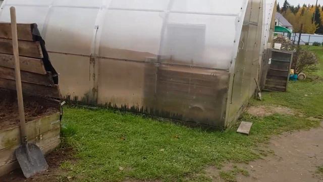 Продам подрощенных Павловских цыплят и утят тяжёлой французской линии. смотреть онлайн