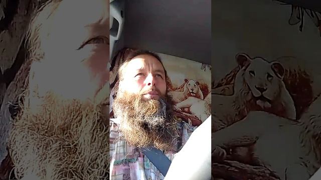 О качестве молока и вообще жизни :)