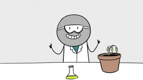 Systems Thinking and Green Chemistry