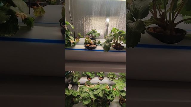 Делюсь очередными выводами