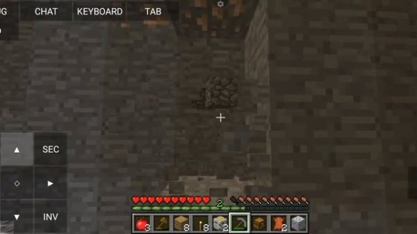 играю в Майнкрафт java