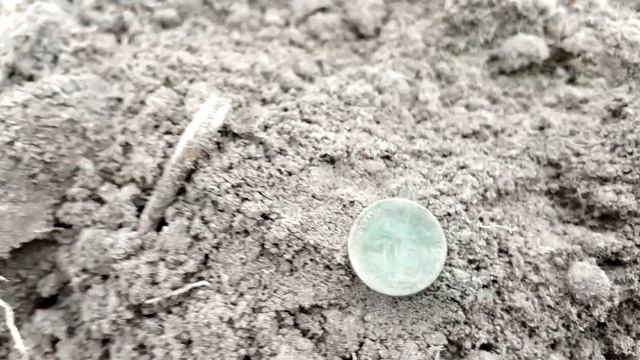 ОТЛИЧНЫЙ КОП с СЕРЕБРОМ! ПРОДОЛЖЕНИЕ. ДУБЛЬ по СЕРЕБРУ! ЧАСТЬ 2 смотреть онлайн