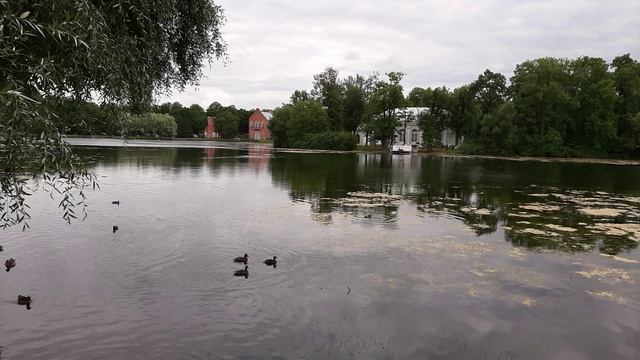 Что там в зеркалах. смотреть онлайн