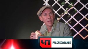 «Недалекие звезды» | «ЧП. Расследование»