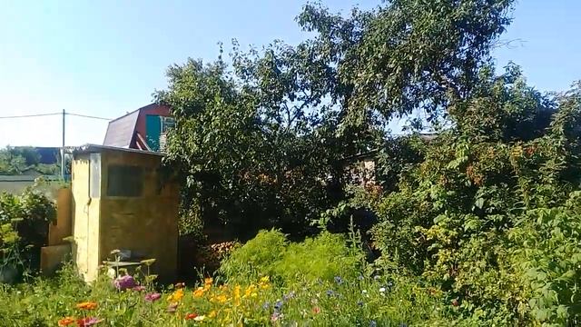 Мой мир -моя дача! 2ч.