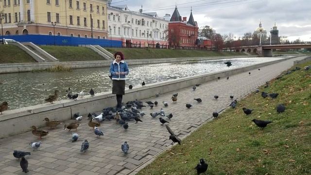 1891, Кормление уток у подвесного моста, Кто там живёт, утки голуби галки, Печтовый пер., река Орли смотреть онлайн