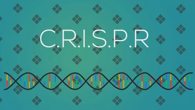 Днк Спираль(Анимация) смотреть онлайн
