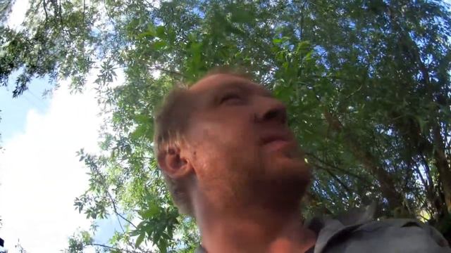 БЫТОВУХА А ТО ЭТИ ДРАНДУЛЕТЫ НАДОЕЛИ И ДОСТАЛИ смотреть онлайн