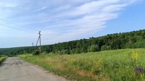 утро красит