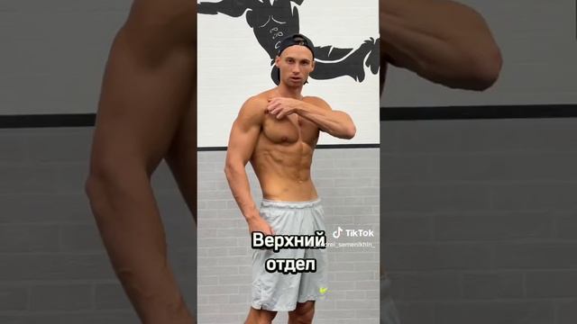 Тренировка грудных мышц для новичка в домашних условиях смотреть онлайн