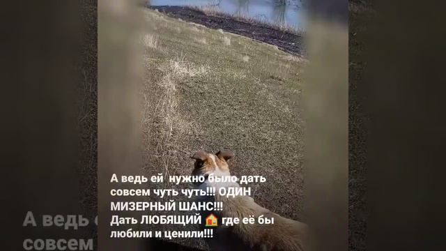 Линда пастушок смотреть онлайн