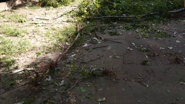 В Киеве дерево упало на девушку 16 июня смотреть онлайн