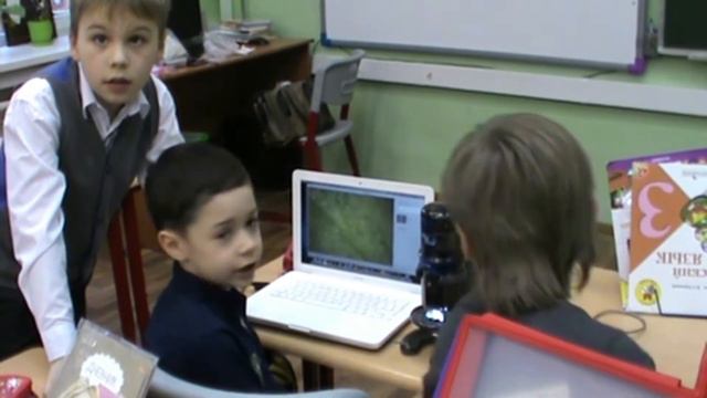 Растения под микроскопом смотреть онлайн