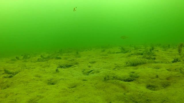 Плещеево Рыбалка 06 03 22 г смотреть онлайн