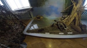 Краеведческий музей  Город Астрахань