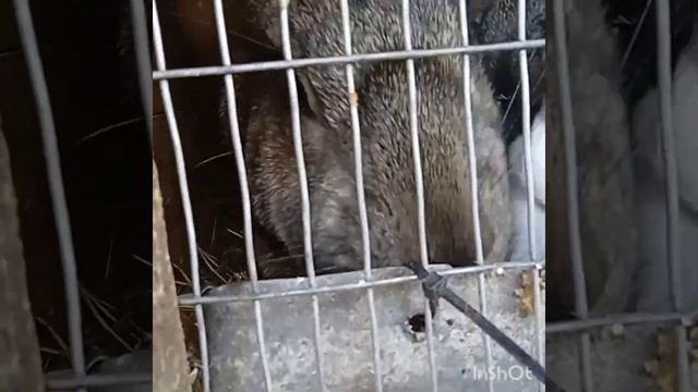 Годую свою малечу смотреть онлайн