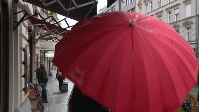 Partnervermittlung "Elite Follow Me". Matching Agency "Elite Follow Me" смотреть онлайн