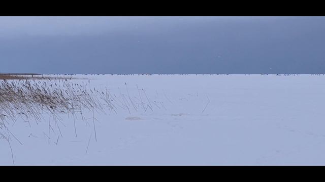 ТАКИХ Я ДАВНО НЕ ЛОВИЛ..ЛАДОГА БОГАТА ТРОФЕЯМИ!Рыбалка на жерлицы!! смотреть онлайн