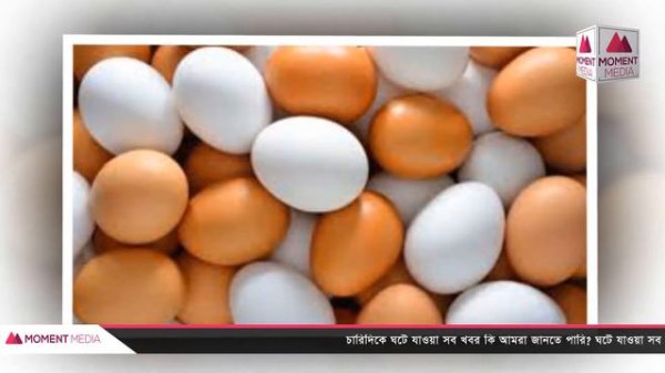 নকল ডিমে বাজার সয়লাব !যেনে নিন নকল ডিম চেনার উপায়