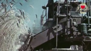 Краснолучская лирическая