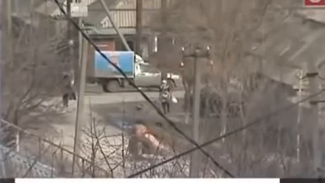 в ЧЕЧНЕ нашлись Наследники РОМАНОВЫХ смотреть онлайн