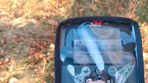 minelab ctx 3030 настройка прибора