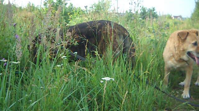 Июль 2023 год.