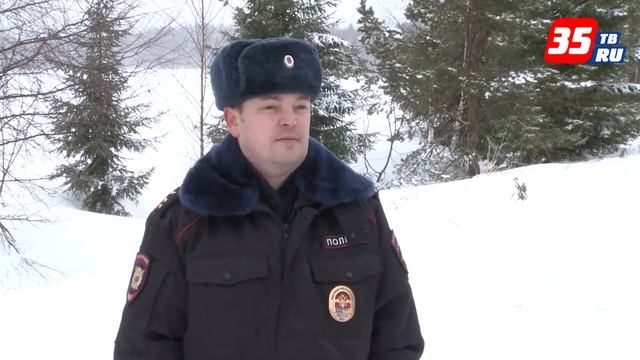 За срубленную в лесу елку придется заплатить штраф в 5 тыс. руб. смотреть онлайн