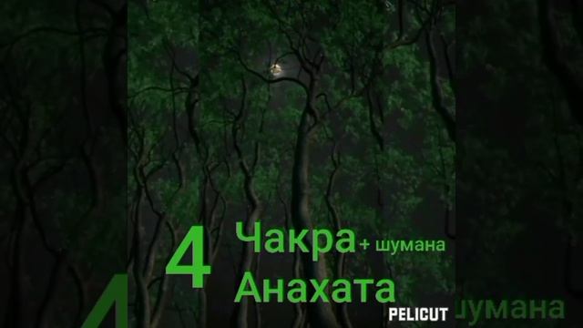 ?Чистка 4 чакры Анахата +Шумана. смотреть онлайн