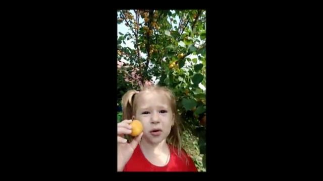 Сладкие абрикосы в саду у дедушки смотреть онлайн