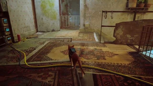 STRAY - 100% walkthrough \ полное прохождение смотреть онлайн