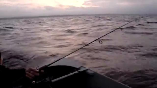 Афалина-350. Рыбинка 5 смотреть онлайн