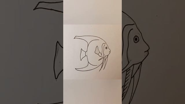 Рыба-ангел: рисунок карандашами. Angel fish: pencil drawing смотреть онлайн