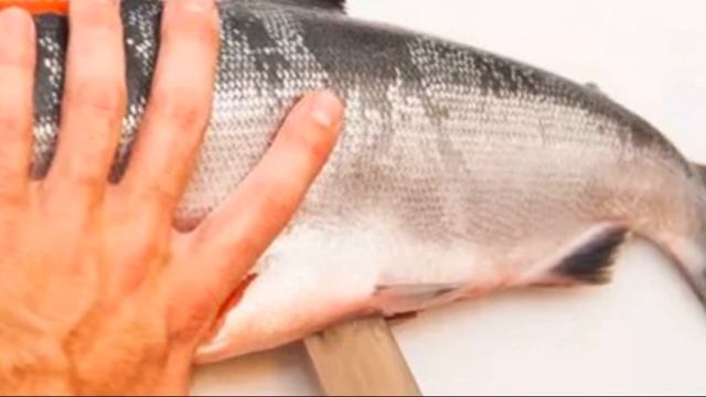 Вегетарианские Рестораны