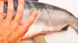 Как и сколько правильно солить вкусную красную рыбу